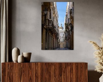 A street scene of a historic Mediterranean city, Atlantic Ocean. Cádiz, Andalusia, Spain by Fotos by Jan Wehnert