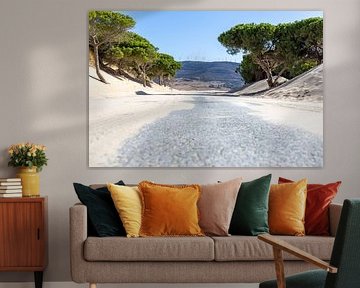 Een weg met pijnbomen en een duin, Duna de Valdevaqueros, Tarifa, Andalusië, Spanje. van Fotos by Jan Wehnert