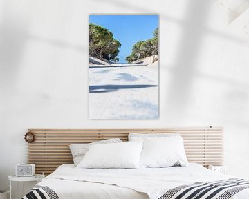 Een weg met pijnbomen en een duin, Duna de Valdevaqueros, Tarifa, Andalusië, Spanje van Fotos by Jan Wehnert