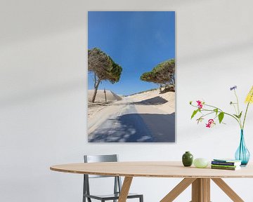 Een weg met pijnbomen en een duin, Duna de Valdevaqueros, Tarifa, Andalusië, Spanje van Fotos by Jan Wehnert