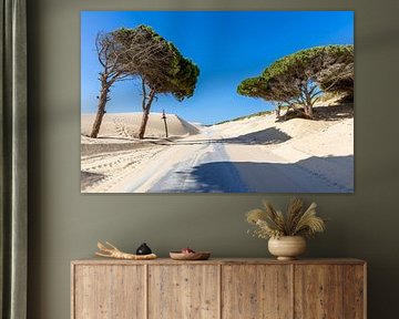 Een weg met pijnbomen en een duin, Duna de Valdevaqueros, Tarifa, Andalusië, Spanje van Fotos by Jan Wehnert