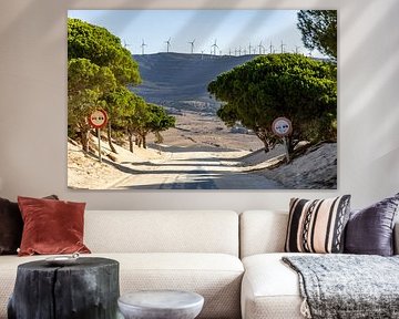 Een weg met pijnbomen en een duin, Duna de Valdevaqueros, Tarifa, Andalusië, Spanje van Fotos by Jan Wehnert