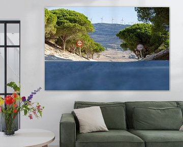 Een weg met pijnbomen en een duin, Duna de Valdevaqueros, Tarifa, Andalusië, Spanje van Fotos by Jan Wehnert