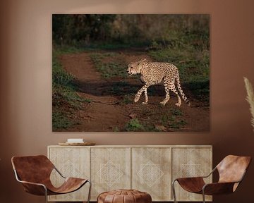 Looking for breakfast by Katinka Mann