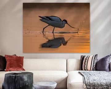 Black-necked grebe at sunrise by Katinka Mann