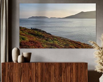 Malpica de Bergantiños, Spain - I by Jarne Buttiens