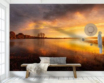 Gouden zonsopgang over het Scharreveld