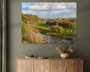 Koeien in de herfstige uiterwaarden bij Beesd