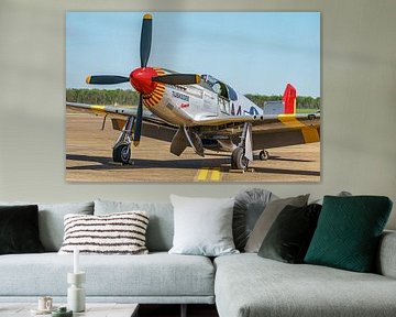 North American P-51C Mustang der Tuskegee Airmen.