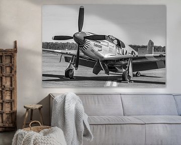 North American P-51C Mustang der Tuskegee Airmen.