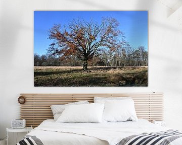 Stil standing strong by Albert Rap