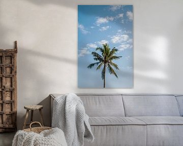 Palm tree by Insolitus Fotografie