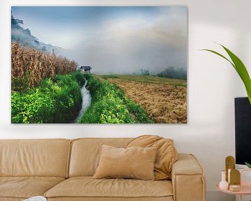 Erntesaison von Insolitus Fotografie