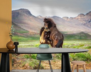 Icelandic horses by Yvette Baur