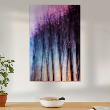 De stille getuigen van het licht (5 van 10)