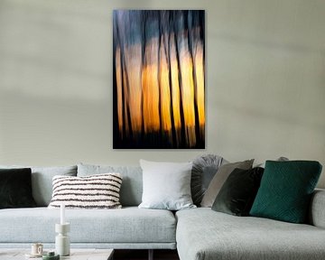 The silent witnesses of light (11 of 10) by Linda Hutten