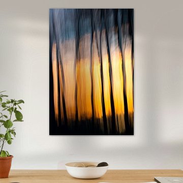 De stille getuigen van licht (11 van 10)