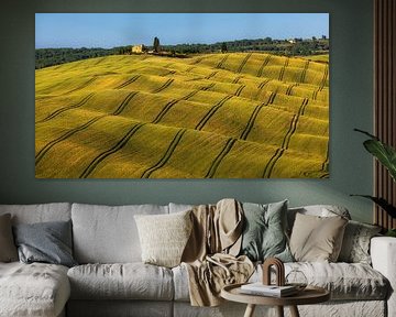 Grains ondulés en Toscane, Italie sur Adelheid Smitt