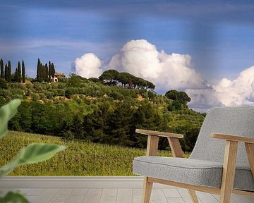 Toskanische Landschaft mit Zypressen und Schirmkiefern, Italien