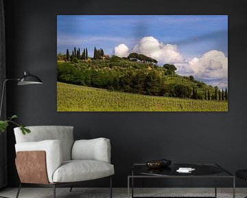 Toskanische Landschaft mit Zypressen und Schirmkiefern, Italien von Adelheid Smitt