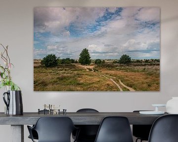 Rust van DaylightScanPhotography