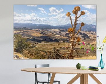 Landscape photograph in Andalusian summer. Barren landscape under a blue sky, Andalusia, Spain by Fotos by Jan Wehnert