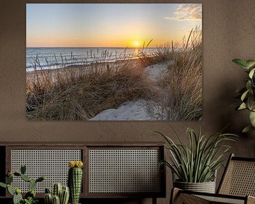 Sunset on the beach, nature reserve of Los Corrales de Rota, Costa de la Lutz, Córdoba, Andalusia, Spain