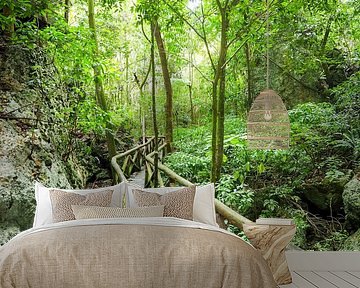 Karibikbilder zählen zu den beliebtesten Motiven für Wandbilder und Fine-Art-Prints. Die Region begeistert mit kristallklarem Wasser, weißen Stränden, einzigartigen Farbstimmungen und tropischer Natur.