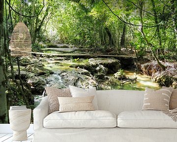 Karibikbilder zählen zu den beliebtesten Motiven für Wandbilder und Fine-Art-Prints. Die Region begeistert mit kristallklarem Wasser, weißen Stränden, einzigartigen Farbstimmungen und tropischer Natur.