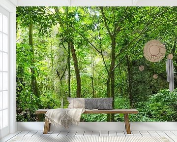 Karibikbilder zählen zu den beliebtesten Motiven für Wandbilder und Fine-Art-Prints. Die Region begeistert mit kristallklarem Wasser, weißen Stränden, einzigartigen Farbstimmungen und tropischer Natur.