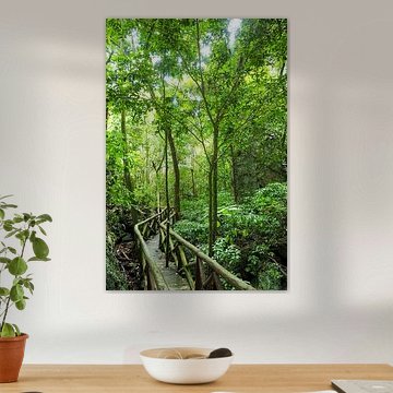 Karibikbilder zählen zu den beliebtesten Motiven für Wandbilder und Fine-Art-Prints. Die Region begeistert mit kristallklarem Wasser, weißen Stränden, einzigartigen Farbstimmungen und tropischer Natur.