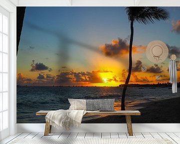 Karibikbilder zählen zu den beliebtesten Motiven für Wandbilder und Fine-Art-Prints. Die Region begeistert mit kristallklarem Wasser, weißen Stränden, einzigartigen Farbstimmungen und tropischer Natur.