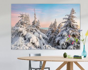 Vue sur la forêt enneigée