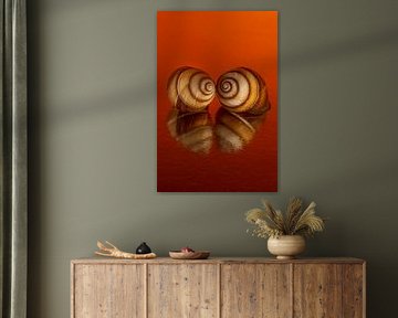 Warm oranje: Samen in warme kleuren van Marjolijn van den Berg