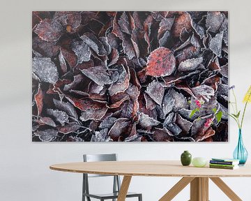 Loof II - Berkenbladeren met rijp van Daniela Beyer