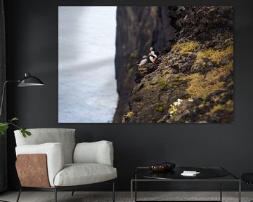 Papegaaiduikers op de zwarte rotsen in IJsland van Yvette Baur