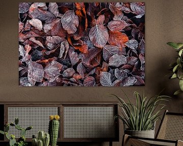 Loof III - Herfstbladeren met rijp van Daniela Beyer