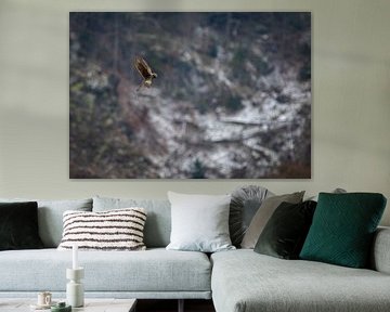 on the hunt by Sebastian Stef