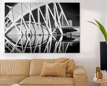 Ciutat de les Arts i les Ciències - Valencia van Rob van der Wal