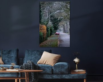 Fiat 500 van Sebastian Stef