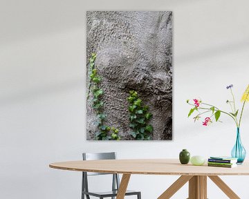 Textuur van Tijd: Schors en Klimop van Sebastian Stef