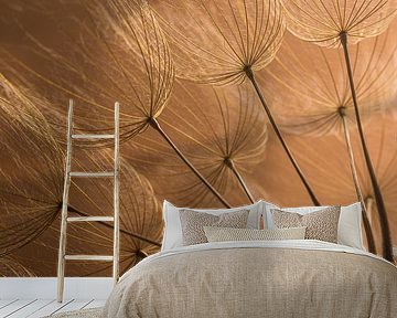 Warm nostalgic atmosphere: Fluff in the light by Marjolijn van den Berg