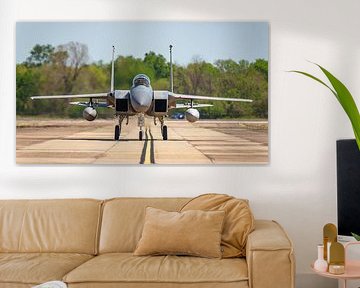 Milice du Bayou McDonnell Douglas F-15C Eagle.