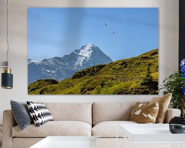 The Eiger, on a summer day by Reinier Holster