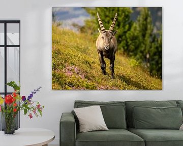 Capricorn on the Niederhorn by Reinier Holster