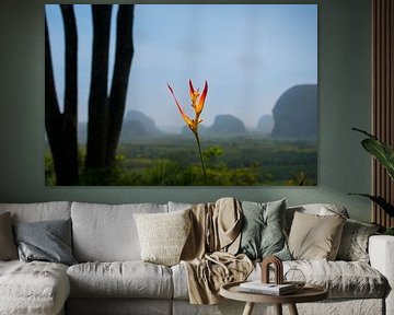 Thai Flower by Rob van der Wal