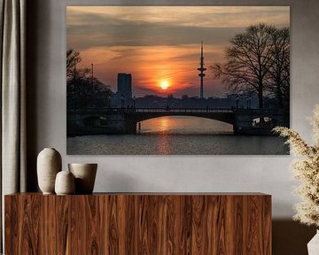 Tussen licht en leven