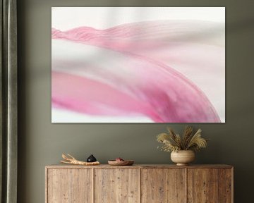 Subtle and almost abstract photo of a pale pink tulip by Birgitte Bergman