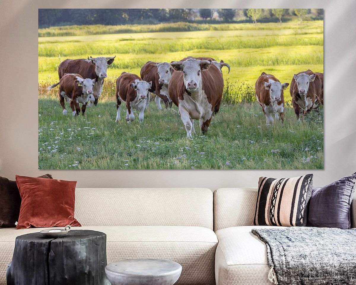 Voorbeeld van het werk in een kamer