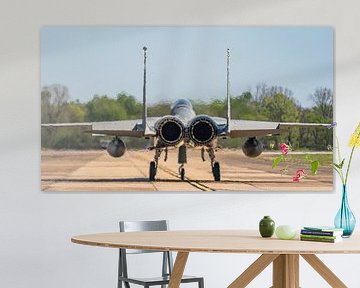 Bayou Militia McDonnell Douglas F-15C Eagle.